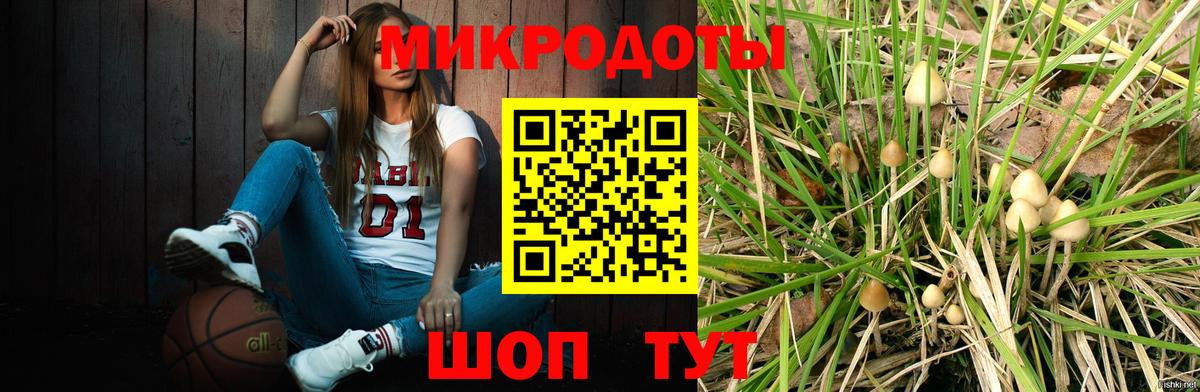 Псилоцибиновые грибы прущие грибы  Вход с VPN  Алатырь 